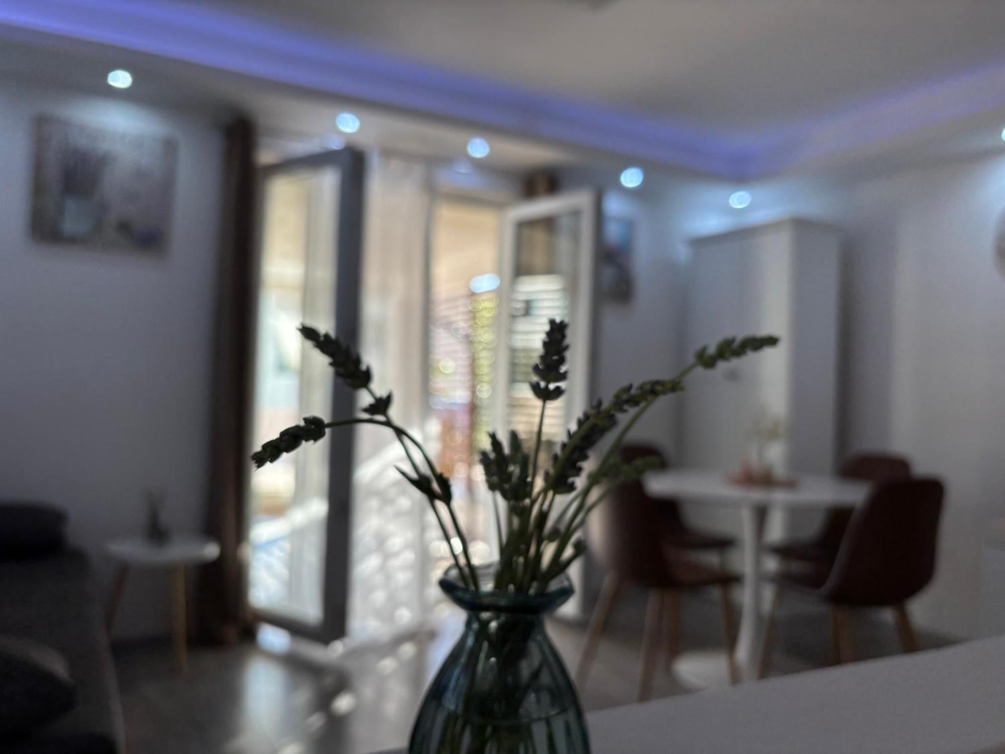 שיבניק Luxury Apartman Nr מראה חיצוני תמונה